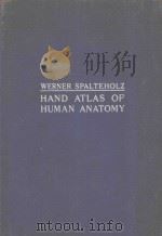 HAND ATLAS OF HUMAN ANATOMY SEVENTH EDITION IN ENGLISH VOL.I   1972  PDF电子版封面    WERNER SPALTEHOLZ 
