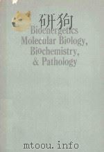 BIOENERGETICS MOLECULAR BIOLOGY BIOCHEMISTRY & PATHOLOGY（1989 PDF版）