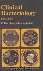CLINICAL BACTERIOLOGY FIFTH EDITION   1980  PDF电子版封面  0713143614  E.JOAN STOKES AND G.L.RIDGWAY 