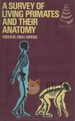 A SURVEY OF LIVING PRIMATES AND THEIR ANATOMY（1983 PDF版）