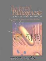 BACTERIAL PATHOGENESIS A MOLECULAR APPROACH   1994  PDF电子版封面  1555810705  ABIGAIL A.SALYERS AND DIXIE D. 