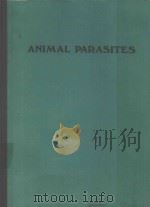 ANIMAL PARASITES THEIR LIFE CYCLES AND ECOLOGY THIRD EDITION   1974  PDF电子版封面  0839106432  O.WILFORD OLSEN 