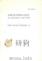 ORNITHOLOGY IN LABORATORY AND FIELD FIFTH EDITION   1985  PDF电子版封面  0125524552  OLIN SEWALL PETTINGILL 