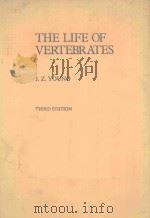 THE LIFE OF VERTEBRATES THIRD EDITION   1981  PDF电子版封面  0198571720  J.Z.YOUNG 