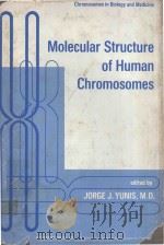 MOLECULAR STRUCTURE OF HUMAN CHROMOSOMES   1977  PDF电子版封面  0127751688  JORGE J.YUNIS 