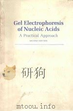 GEL ELECTROPHORESIS OF NUCLEIC ACIDS A PRACTICAL APPROACH SECOND EDITION   1990  PDF电子版封面  0199630828  D.RICKWOOD AND B.D.HAMES 