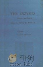 THE ENZYMES STRUCTURE AND CONTROL VOLUME I THIRD EDITION（1970 PDF版）