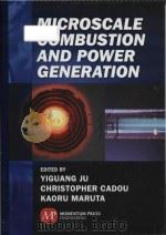 microscale combustion and power generation     PDF电子版封面     