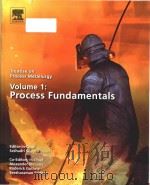 treatise on process metallurgy (volume 1)   PDF电子版封面     