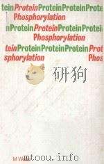 PROTEIN PHOSPHORYLATION   1979  PDF电子版封面  0850860628  M.WELLER 