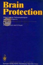 BRAIN PROTECTION   1983  PDF电子版封面  3540125329  K.WIDEDEMANN AND S.HOYER 