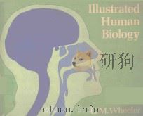 ILLUSTRATED HUMAN BIOLOGY   1978  PDF电子版封面  0713101490  C M WHEELER 