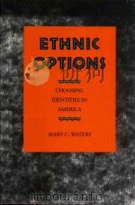 Ethnic Option（1990 PDF版）