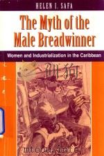 The Myth of the Male Breadwinner   1995  PDF电子版封面  813312116  Henlen I.Safa 