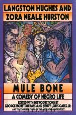 Mule bone   1991  PDF电子版封面  60553014   