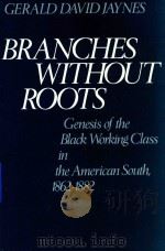 Branches without roots   1986  PDF电子版封面  195036190   