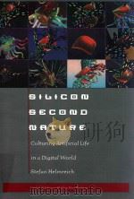 Silicon Second Nature   1998  PDF电子版封面  5202088001   