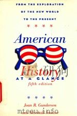 American History at a Glance   1994  PDF电子版封面  62732927   
