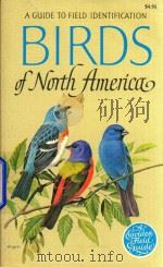 Birds of north America   1966  PDF电子版封面  307136566  Robbins Chandler S 