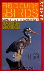 Stokes field guide to birds   1995  PDF电子版封面  316818094   