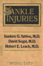 ANKLE INJURIES   1983  PDF电子版封面  044308095X   