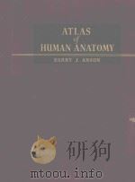 AN ATLAS OF HUMAN ANATOMY   1951  PDF电子版封面    BARRY J.ANSON 