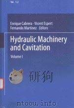 HYDRAULIC MACHINERY AND CAVITATION VOLUME I（1996 PDF版）