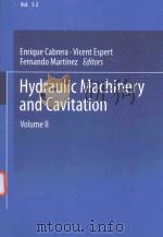 HYDRAULIC MACHINERY AND CAVITATION VOLUME II（1996 PDF版）