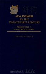 Sea Power in the Twenty-First Century Projecting a Naval Revolution   1997  PDF电子版封面  9780275953003   