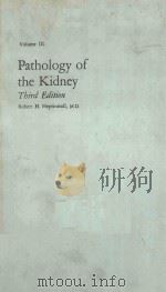 PATHOLOGY OF THE KIDNEY THIRD EDITION VOLUME III（1983 PDF版）