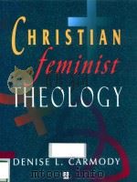 CHRISTIAN FEMINIST THEOLOGY A CONSTRUCTIVE INTERPRETATION   1995  PDF电子版封面  1557865876   