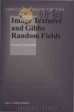 Image textures and Gibbs random fields（1999 PDF版）