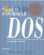 TEACH YOURSELF DOS（1990 PDF版）