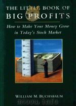 THE LITTLE BOOK OF BIG PROFITS   1996  PDF电子版封面  0028612833   