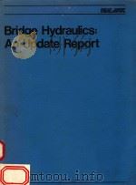 BRIDGE HYDRAULICS:AN UPDATE REPORT   1987  PDF电子版封面  091909855X   