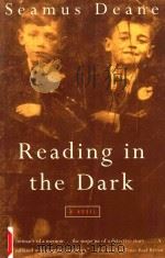 READING IN THE DARK（1996 PDF版）