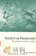 SOCIETY IN PREHISTORY THE ORIGINS OF HUMAN CULTURE   1995  PDF电子版封面  0814755380  TIM MEGARRY 