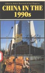 CHINA IN THE 1990S   1995  PDF电子版封面  0774805293   