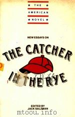 NEW ESSAYS ON THE CATCHER IN THE RYE（1991 PDF版）