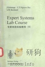 EXPERT SYSTEMS LAB COURSE   1989  PDF电子版封面  7506209217  P.SCHNUPP 