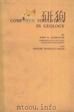 COMPUTER SIMULATION IN GEOLOGY   1981  PDF电子版封面  0898741254   