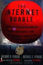 THE INTERNET BUBBLE   1999  PDF电子版封面  0066640008   