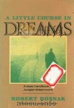 A LITTLE COURSE IN DREAMS（1988 PDF版）
