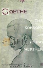 THE SORROWS OF YOUNG WERTHER AND NOVELLA     PDF电子版封面  0679729518   