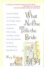 WHAT NO ONE TELLS THE BRIDE   1998  PDF电子版封面  078688262X  MARG STARK 