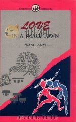 LOVE IN A SMALL TOWN   1988  PDF电子版封面  9627255033  WANG ANYI 