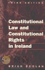 Constitutional law and constitutional rights in Ireland   1987  PDF电子版封面  9780717120473  Brian Doolan 