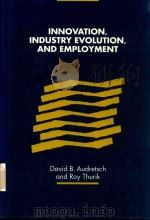 INNOVATION，INDUSTRY EVOLUTION，AND EMPLOYMENT   1999  PDF电子版封面  0521641667  DAVID B.AUDRETSCH，A.ROY THURIK 