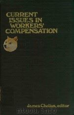 Current Issues in Workers'Compensation   1986  PDF电子版封面  0880990376  James Chelius 