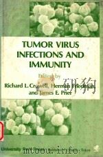 TUMOR VIRUS INFECTIONS AND IMMUNITY   1976  PDF电子版封面    RICHARD 